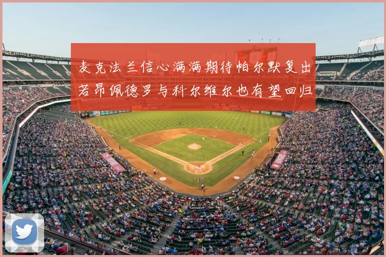 麦克法兰信心满满期待帕尔默复出若昂佩德罗与科尔维尔也有望回归